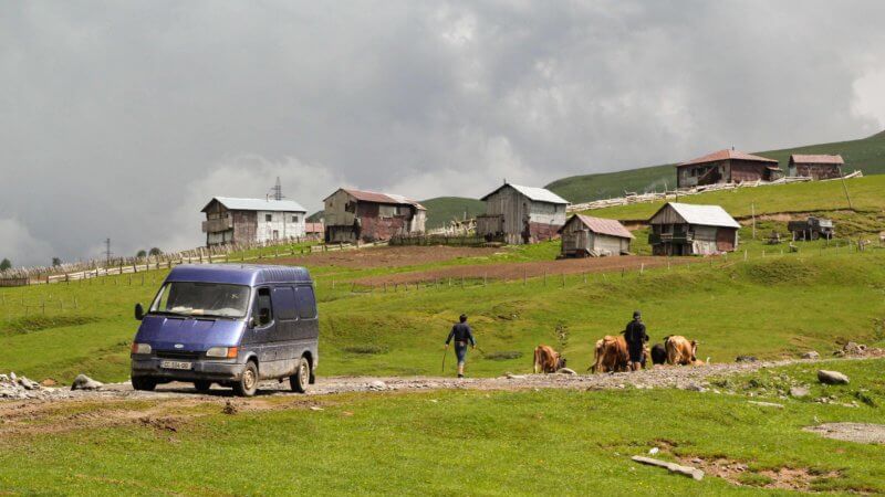 A blue van in the mountains, with rugged-looking huts in the background and boys herding cows.